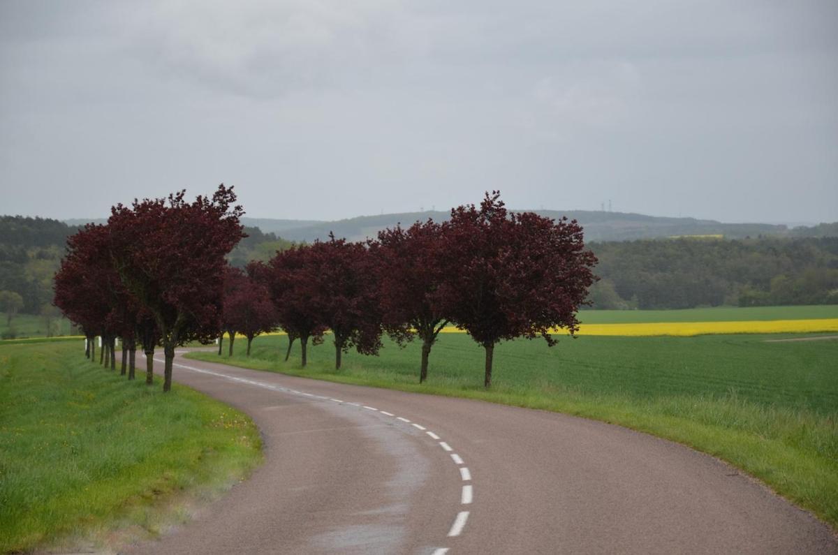 Chalet Bois Pleine Campagne A Pontigny Exterior foto